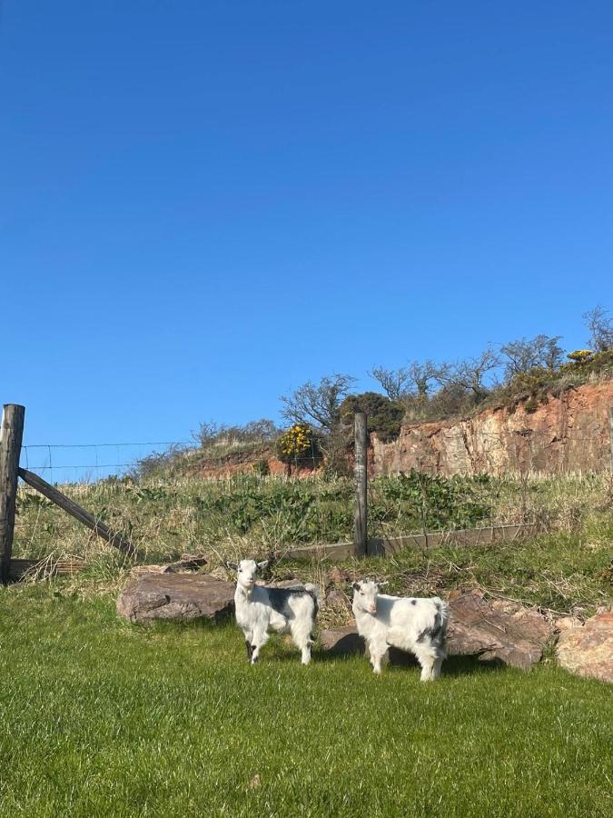 Glens Glamping Vila Cushendall Exterior foto